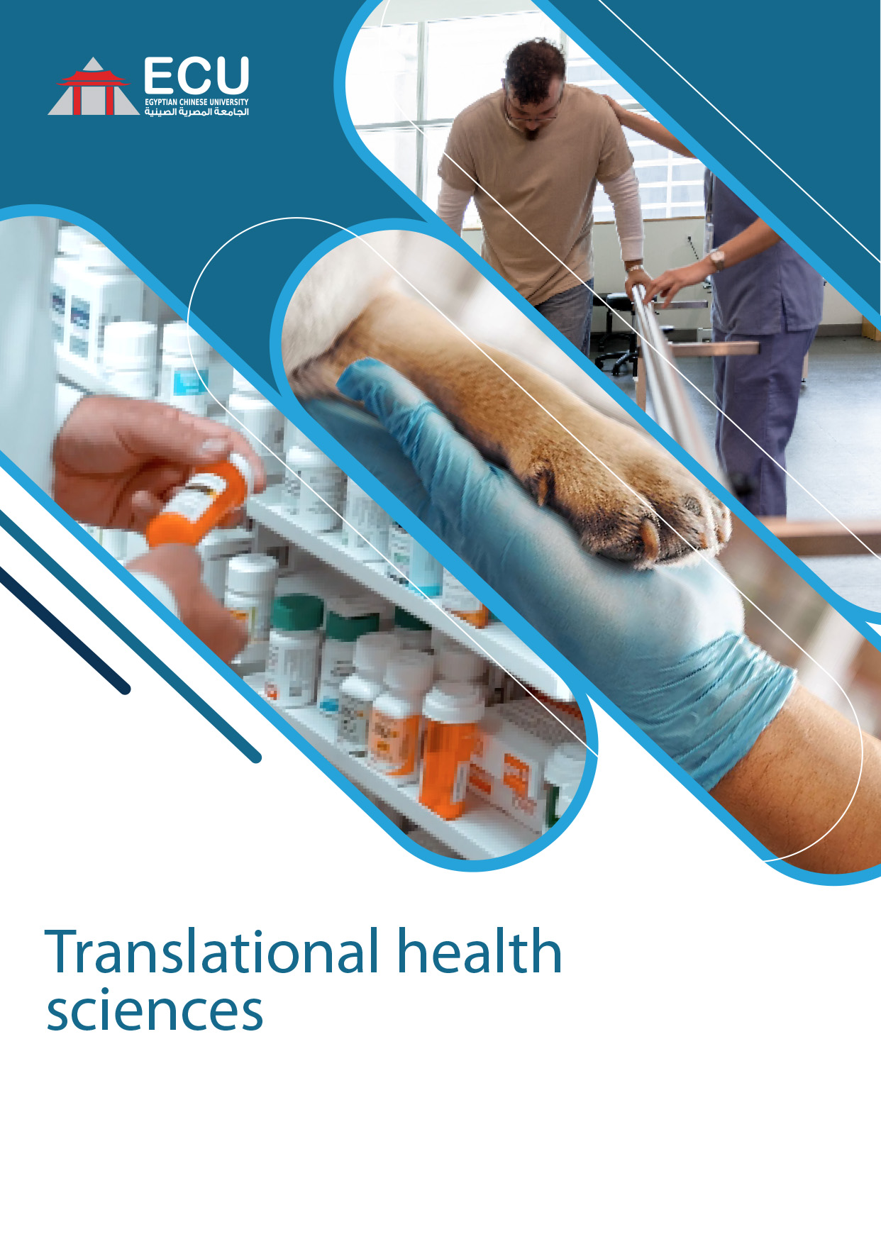 Translational Health Sciences